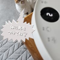 来客