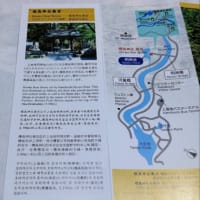 ブログ241108 母と娘の上高地旅～河童橋から明神池--その10〜明神池コース制覇！