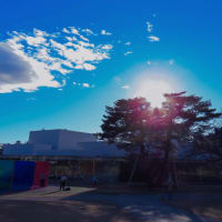 ●金沢21世紀美術館　夕陽のフレア（光芒）　外観（石川県立美術館、国立国芸館、石川県歴史博物館）