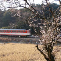 ◆鹿島鉄道「廃止間際の人だかり」 - 2007/2/5