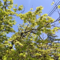 やり切った！という日