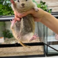 ブログお引越しのお知らせ🥺🥺