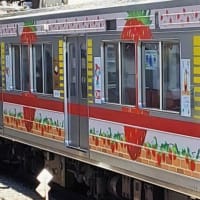 東武鉄道のいちご列車
