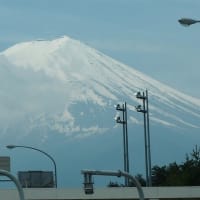 ミツバツツジの咲く頃