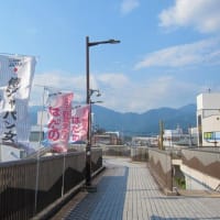 篠窪（しのくぼ）の隣町 龍生派窪寺様　７月末の作品は魅惑的な色のヒオウギ(2024/07/23）