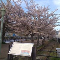 阪急阪神1dayパスでスイーツ＆桜