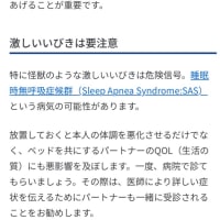 【睡眠時無呼吸症候群】その⑤パートナーのイビキ