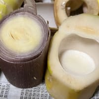 ハチクどっさり！！
