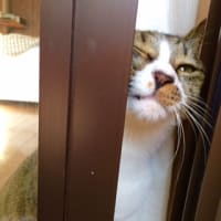 喉にくる風邪⭐︎YouTube投稿