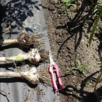 梅雨前作業急ぎます