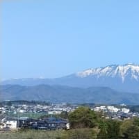 川原農園からの岩手山とリンゴの花