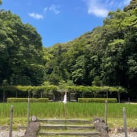 ワガハイ、お伊勢さんへ参る〜其ノ伍〜