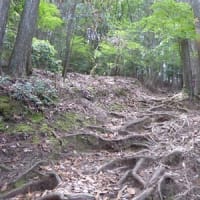 能勢の妙見山