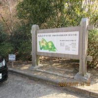 移動運用