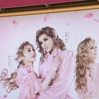 ８月の庭