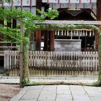 25日、妙蓮寺から妙顕寺、上御霊神社への散歩で梅雨だより＆癌治療