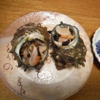 琥珀通信。。お楽しみの秋
