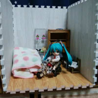 ねんどろミクさんをオビツろいどに♪