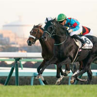 コース変更初戦の条件戦