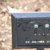 東沢バラ公園　１