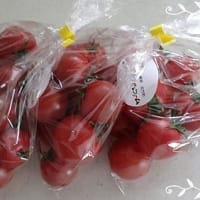久し振りにミシン仕事・・・