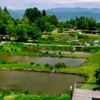 カートデビュー-長野県安曇野市：「国営アルプスあづみの公園」
