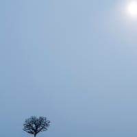 北海道3月の美瑛vol.8  / Sony α7RⅢ