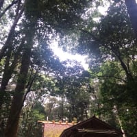 ７月の日記11.12 東海地区中堅神職研修会