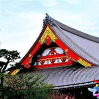 🐉🌈東京【浅草寺】の『🎏鯉のぼり』光景❢❢