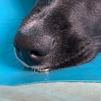 風薫る5月