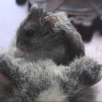 「窓の外から見えたため」って？