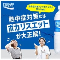 模擬試験と雇用とワタシ