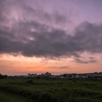 6月20日(木) 暗闇散歩の三日月と日の出