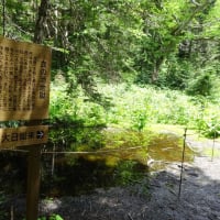 日光白根山