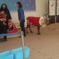 2012/12/2　サンシャイン水族館