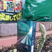 成長。