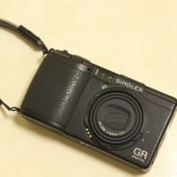 ARTISAN&ARTIST 特注GRレザーネックストラップ