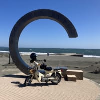Litoral e Monte Fuji