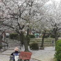 パッチワーク展へ。