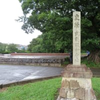 お鷹の道と史蹟国分寺を訪れる 2025.5.31