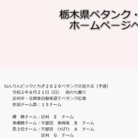 Tochigi  Petanque Boules Federation