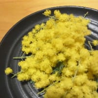 ミモザの花とクッキーと