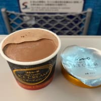 東京出張とカチカチアイス