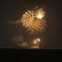 田フェスの花火