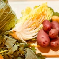収穫野菜は美味しいです🥦
