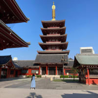 浅草ほおづき市
