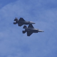 F-35がバリバリでしたが、１機は全く別物だ（20250602-④）
