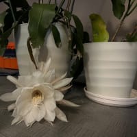 近況です