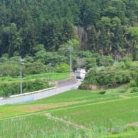 田舎へ　６月　⓶