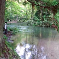 どの季節も素晴らしい奥入瀬渓流